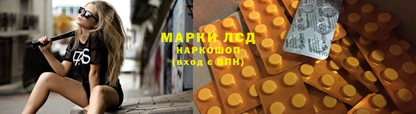 трава Алзамай