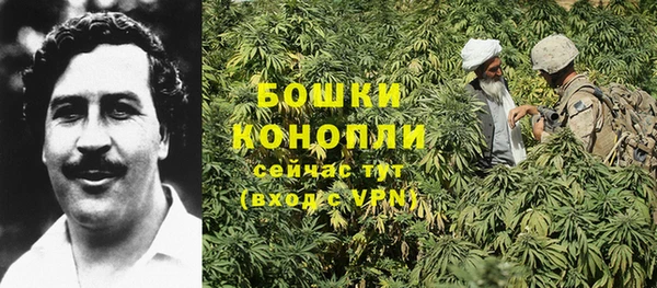 таблы Пересвет